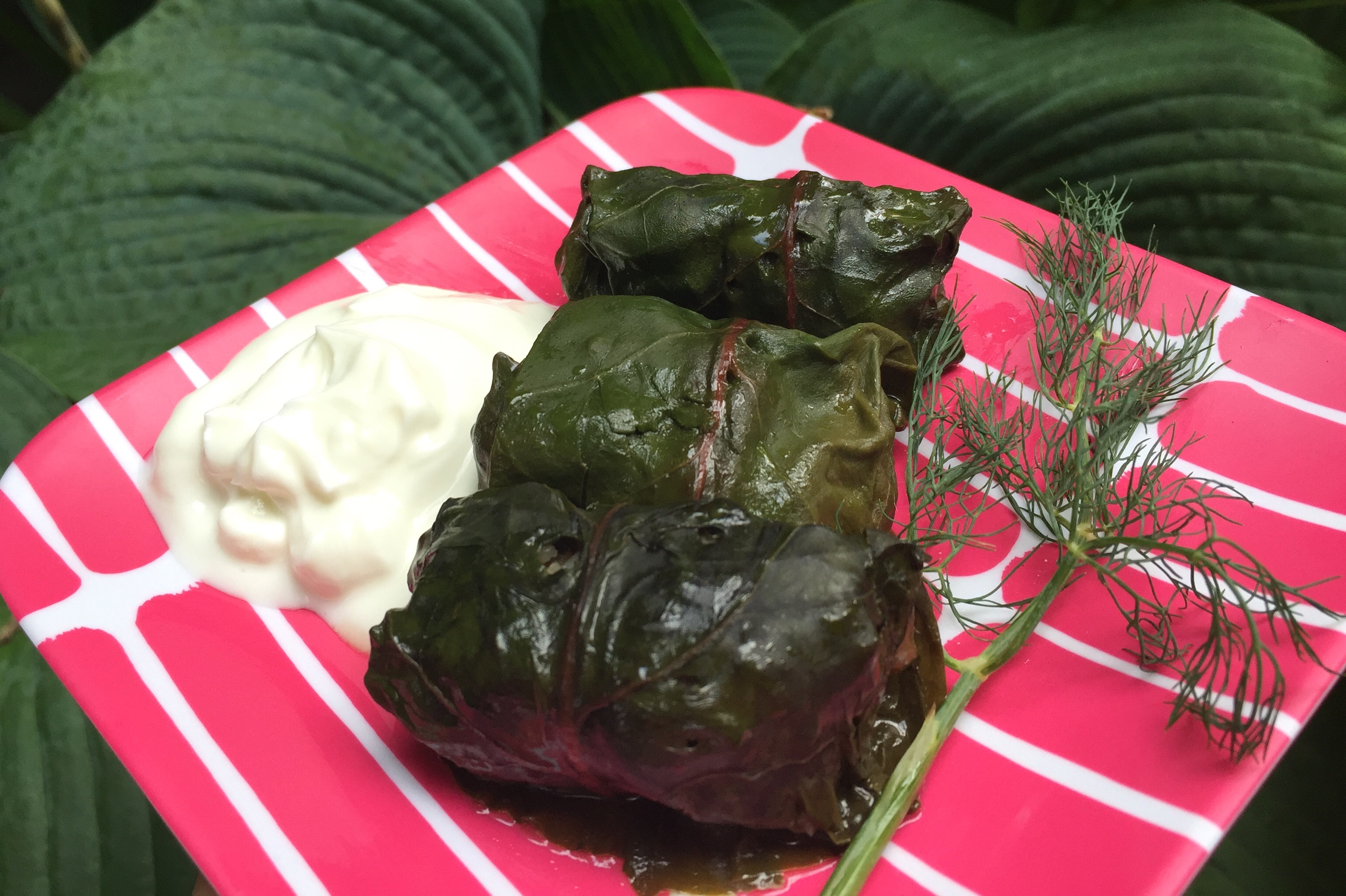 Dolmades 3